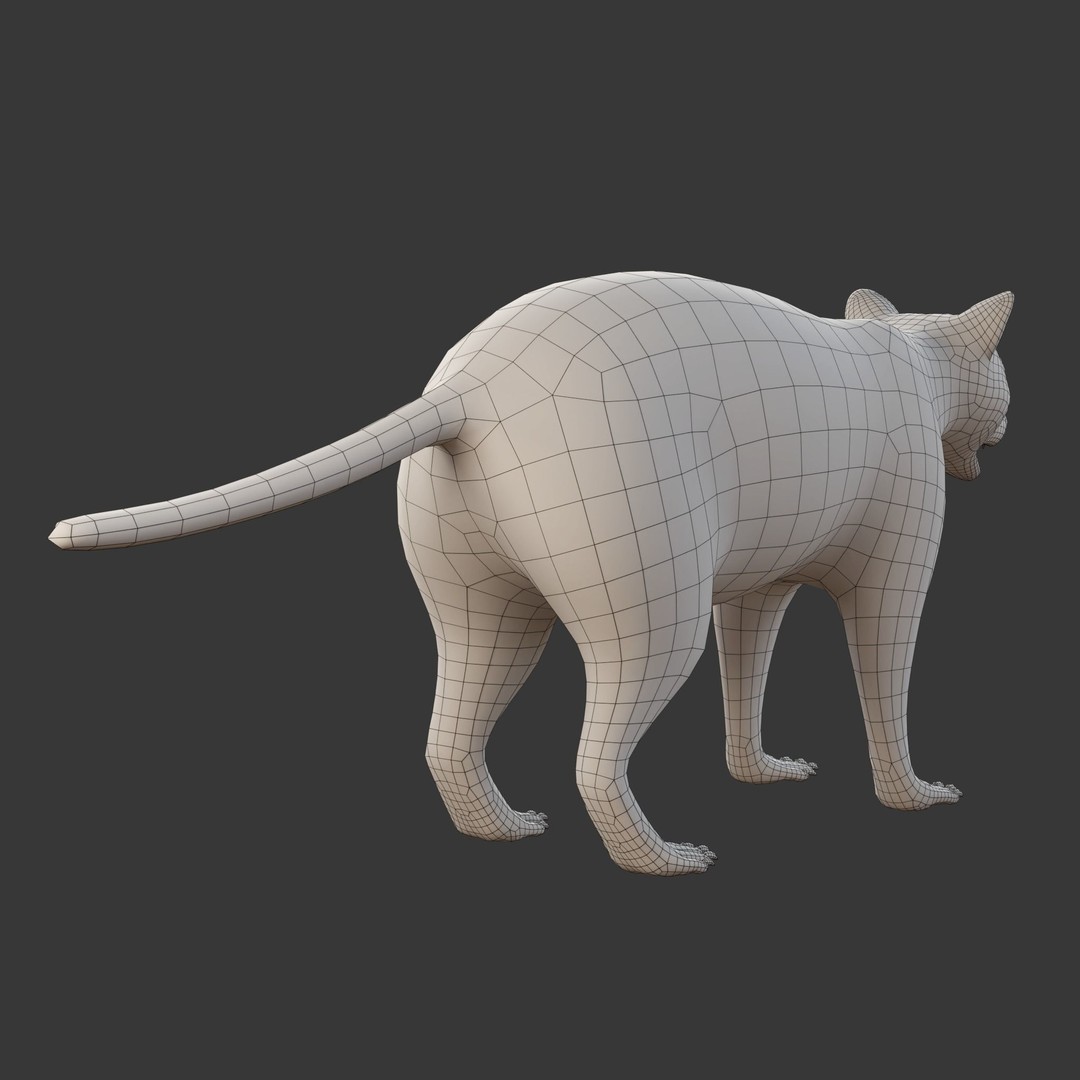 Raccoon 3D Model – Realistic Rigged Animation with PBR Textures - View 20