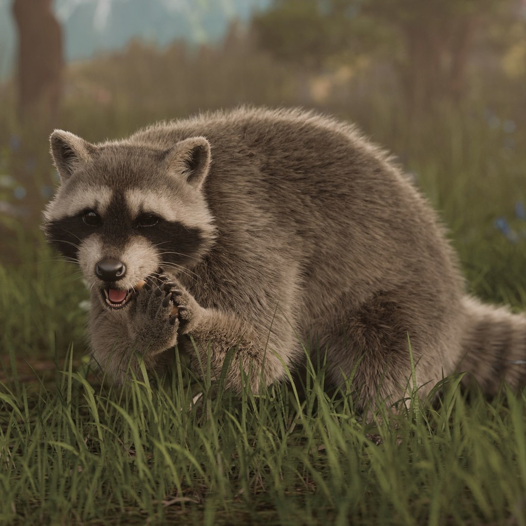 Raccoon 3D Model – Realistic Rigged Animation with PBR Textures - View 5
