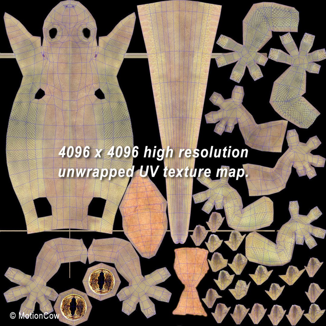 Realistic House Lizard 3D Model – Rigged PBR Asset, FBX