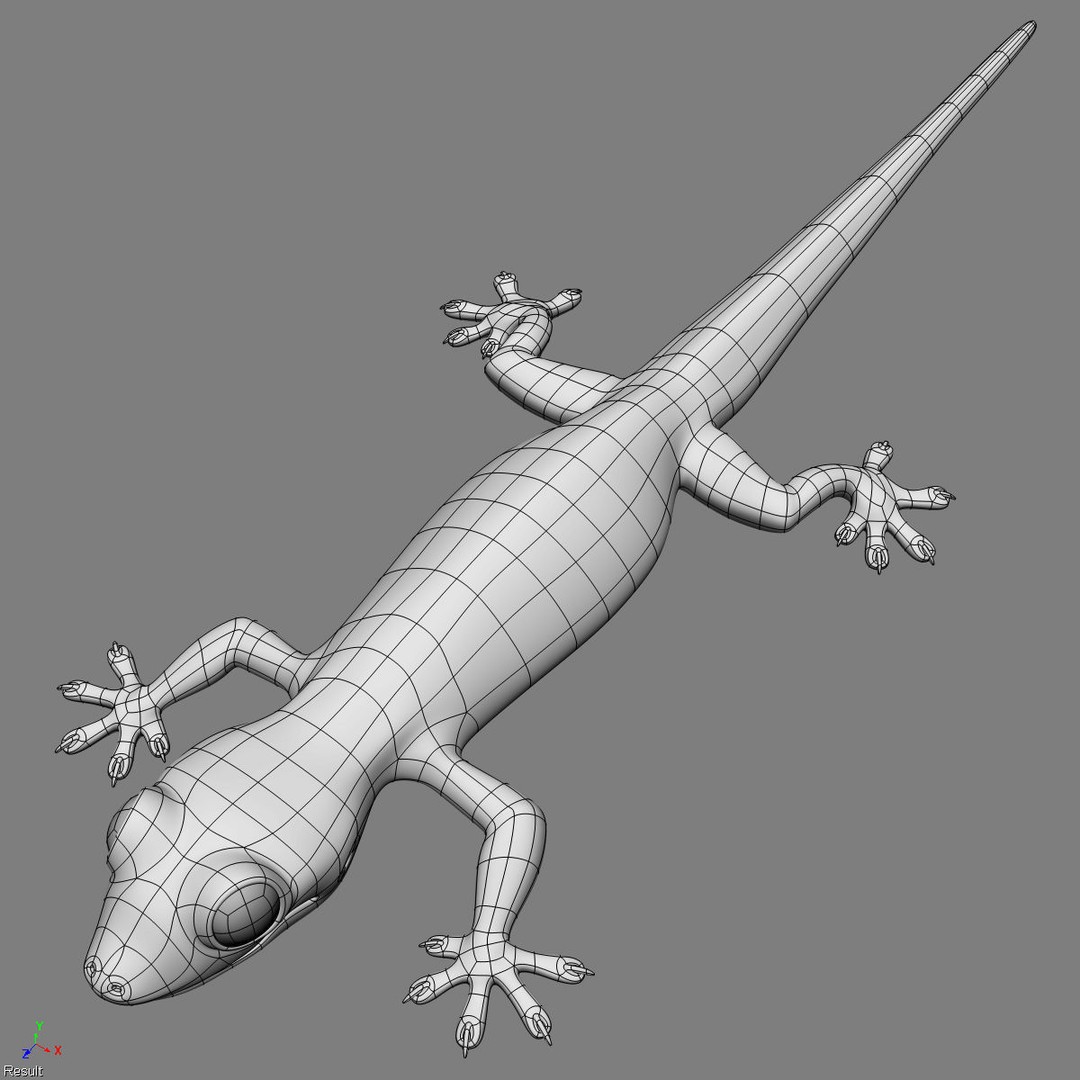 Realistic House Lizard 3D Model – Rigged PBR Asset, FBX - View 16