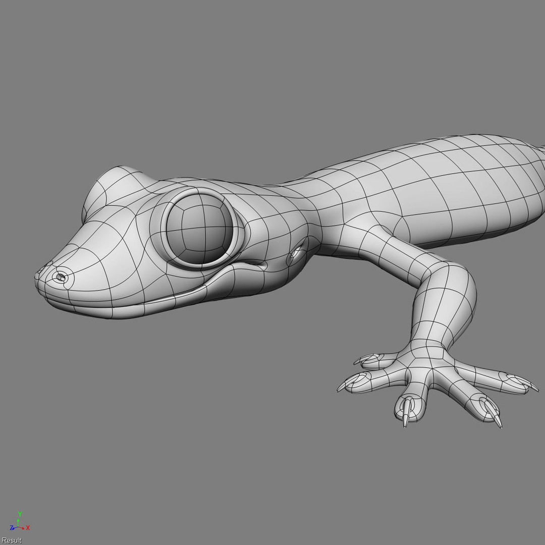 Realistic House Lizard 3D Model – Rigged PBR Asset, FBX - View 17