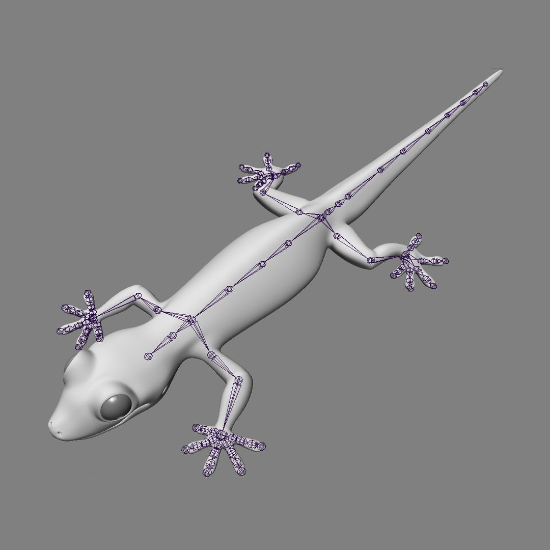 Realistic House Lizard 3D Model – Rigged PBR Asset, FBX - View 18