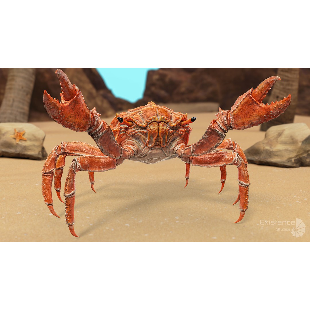 Royal Crab 3D Model – Realistic Rigged Animated Low Poly FBX - View 11