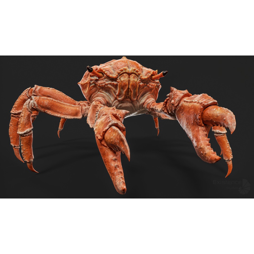 Royal Crab 3D Model – Realistic Rigged Animated Low Poly FBX - View 16