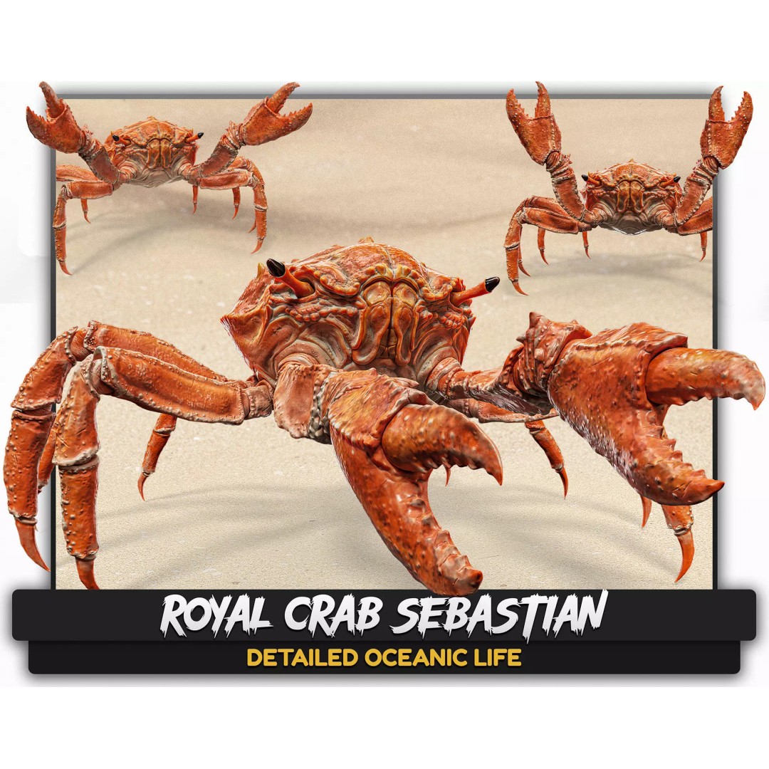 Royal Crab 3D Model – Realistic Rigged Animated Low Poly FBX - View 2