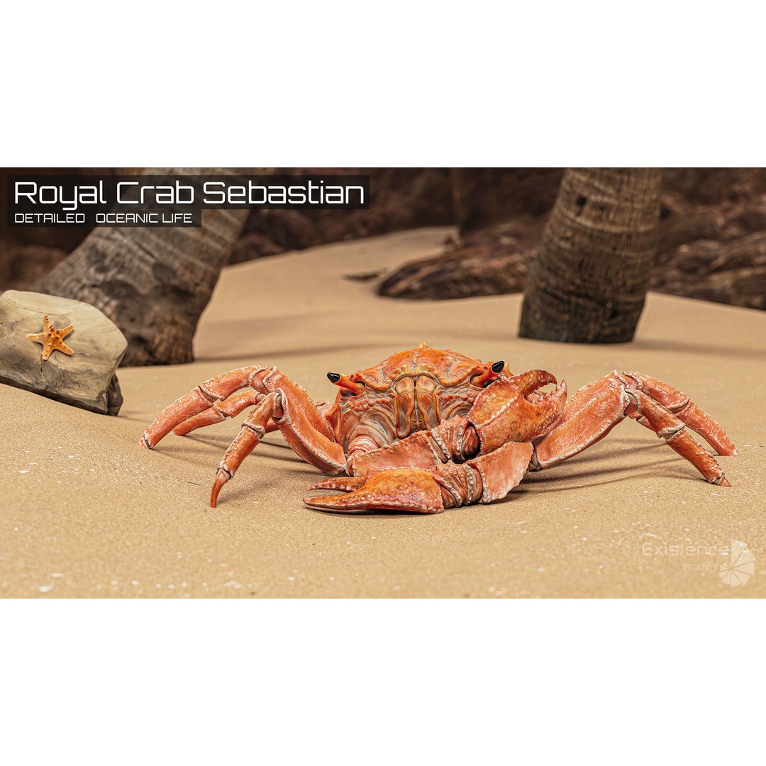 Royal Crab 3D Model – Realistic Rigged Animated Low Poly FBX - View 3