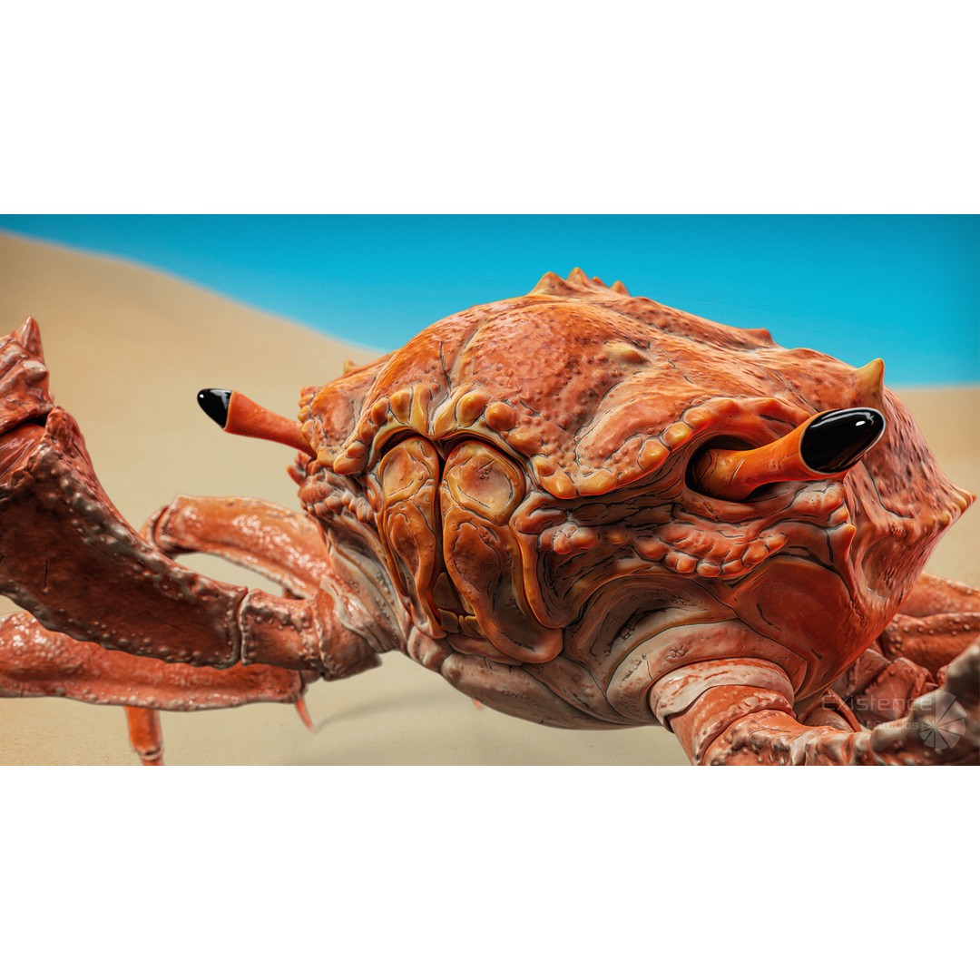 Royal Crab 3D Model – Realistic Rigged Animated Low Poly FBX - View 6