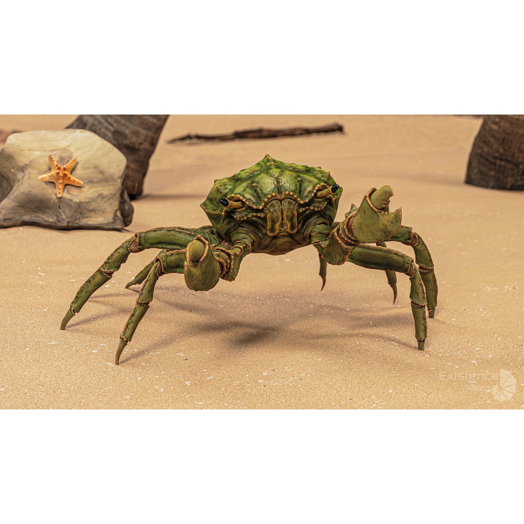 Royal Crab 3D Model – Realistic Rigged Animated Low Poly FBX - View 7