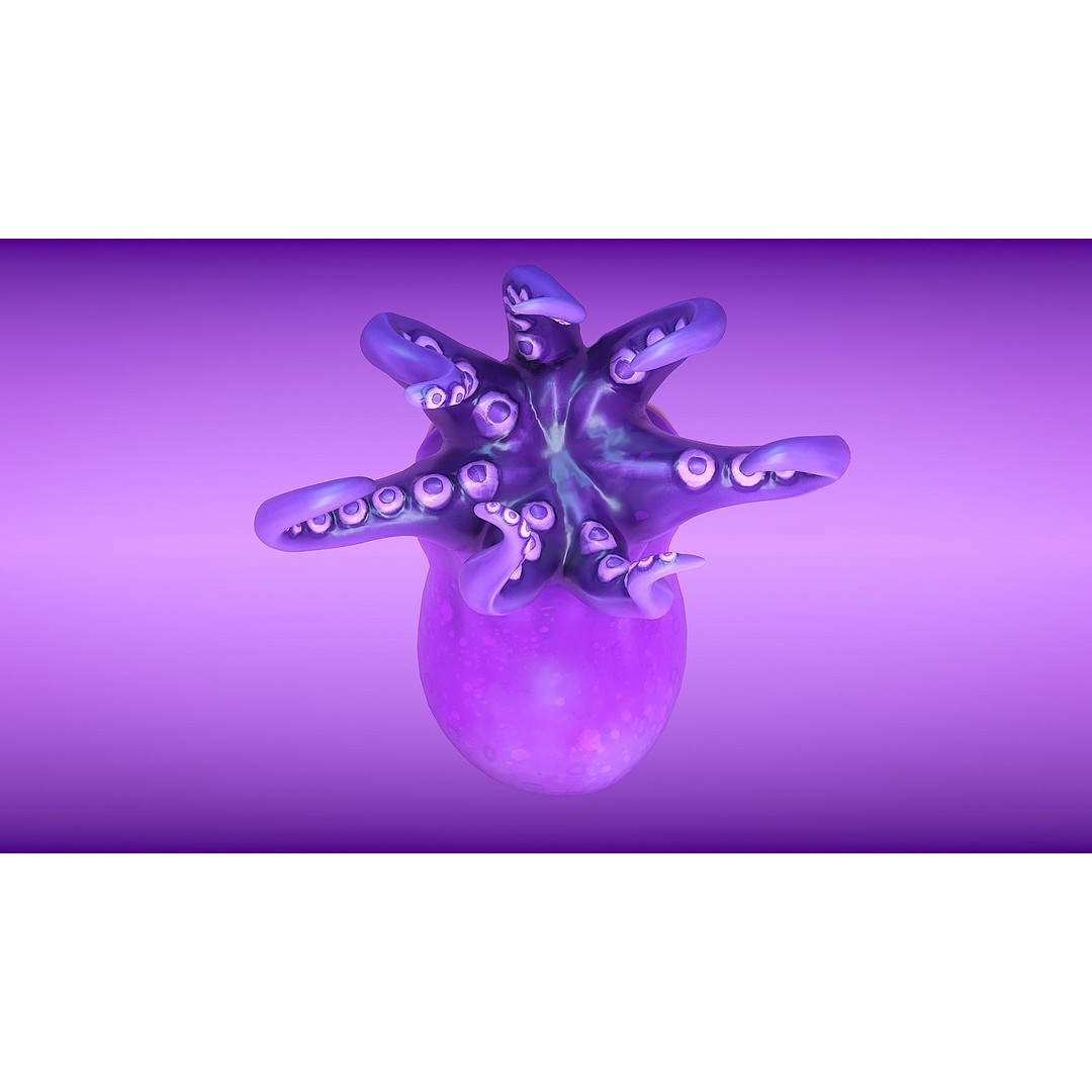 Cartoon Octopus 3D Model – Low Poly Game Asset, PBR Textures, FBX - View 8