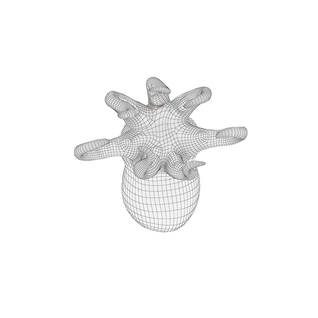 Cartoon Octopus 3D Model – Low Poly Game Asset, PBR Textures, FBX - View 9