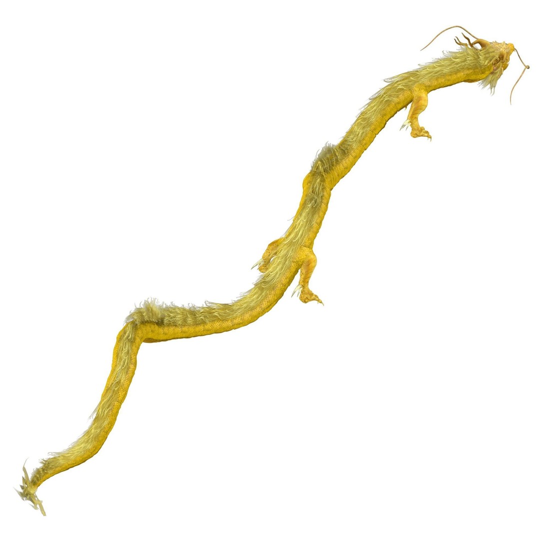 Golden Chinese Dragon 3D Model – Rigged Fantasy Creature, FBX, OBJ - View 9