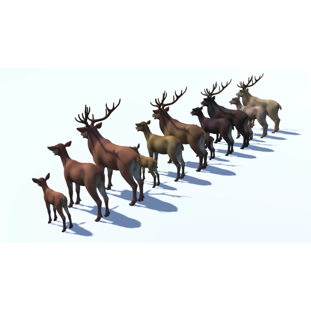 Cartoon Red Deer 3D Model – Low Poly Rigged Animal with Animations - View 16