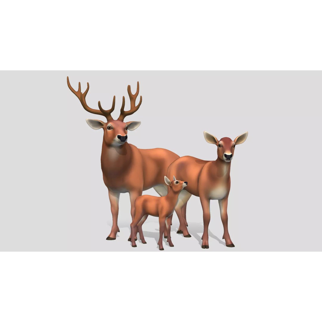 Cartoon Red Deer 3D Model – Low Poly Rigged Animal with Animations - View 2