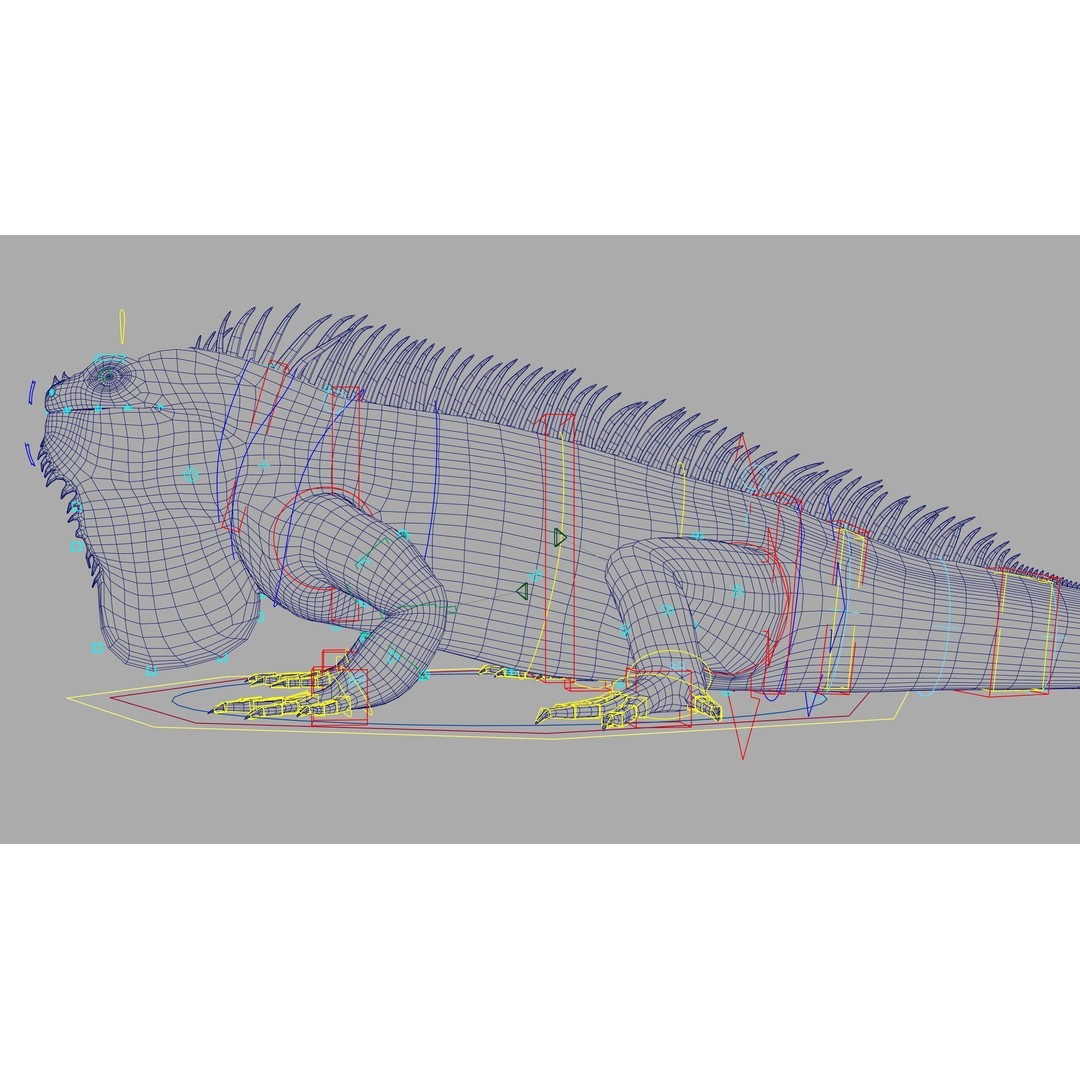 Iguana 3D Model – Realistic Rigged Character with PBR Textures - View 14