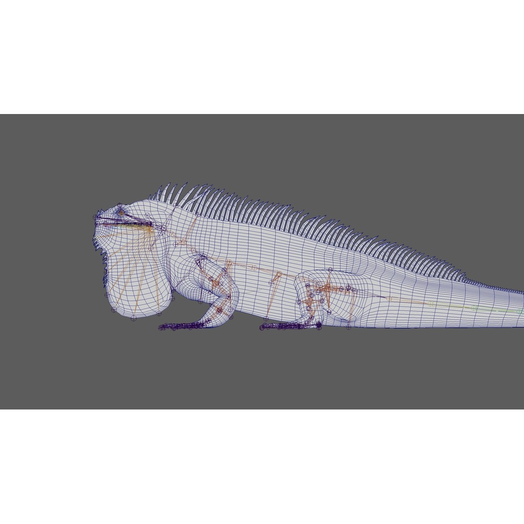 Iguana 3D Model – Realistic Rigged Character with PBR Textures - View 16