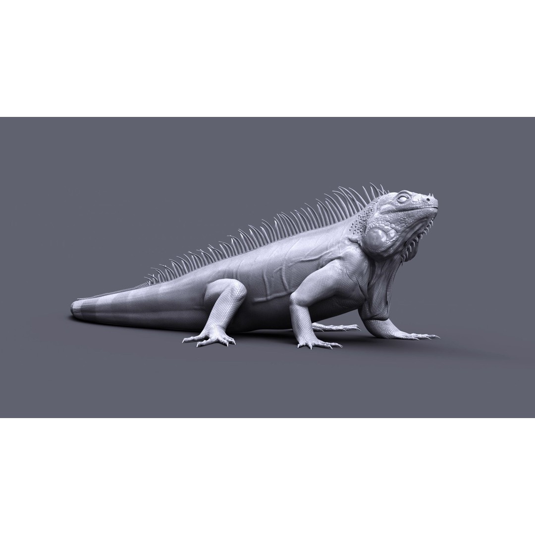 Iguana 3D Model – Realistic Rigged Character with PBR Textures - View 8