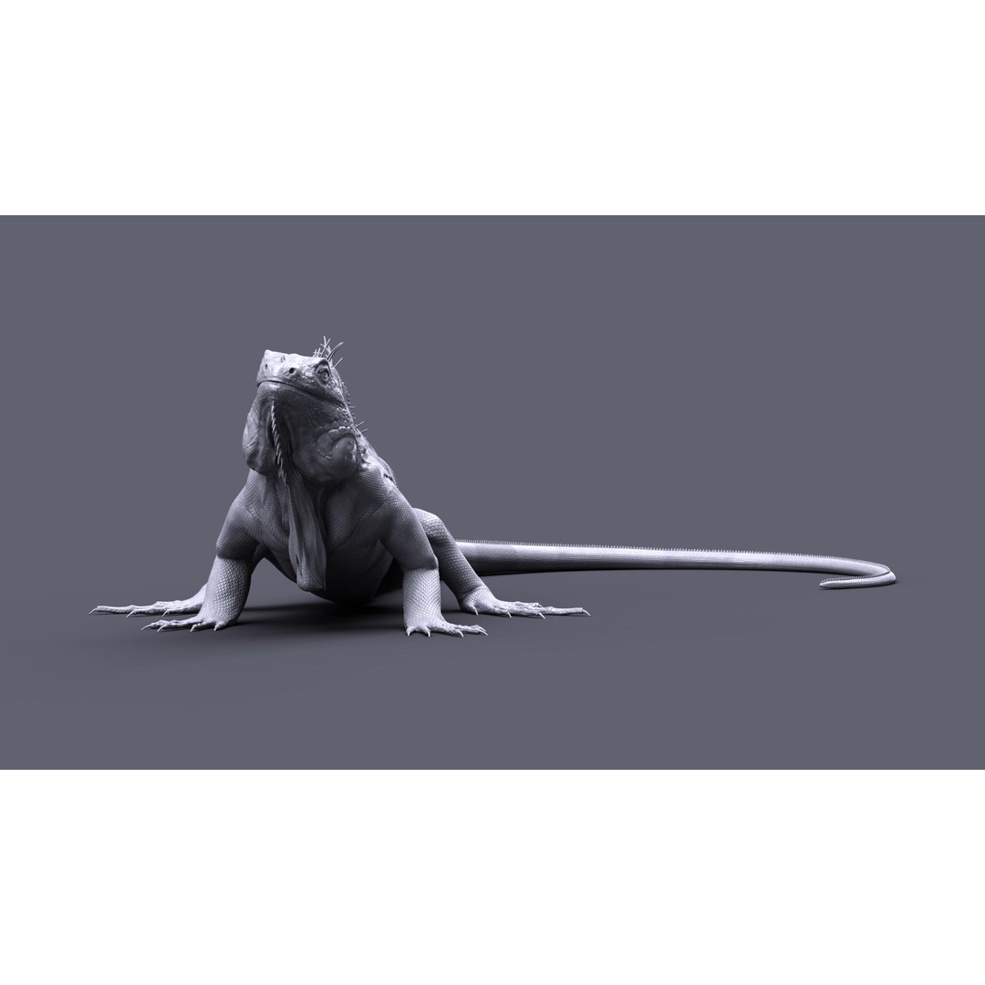 Iguana 3D Model – Realistic Rigged Character with PBR Textures - View 9