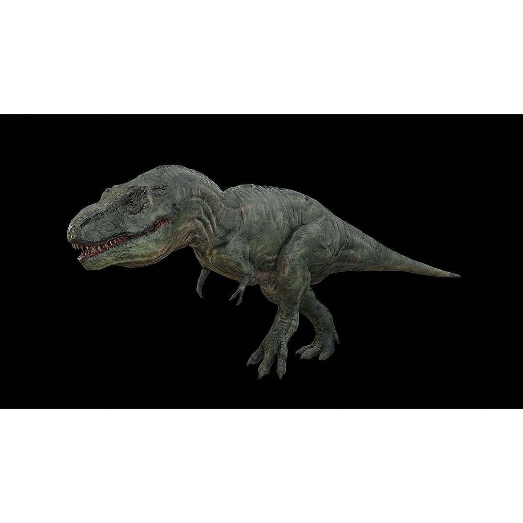 Tyrannosaurus Rex 3D Model – Low Poly Rigged Dinosaur, FBX & OBJ