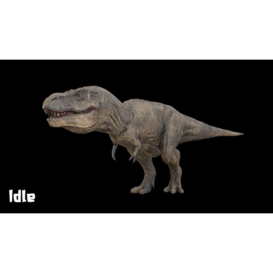 Tyrannosaurus Rex 3D Model – Low Poly Rigged Dinosaur, FBX & OBJ - View 11