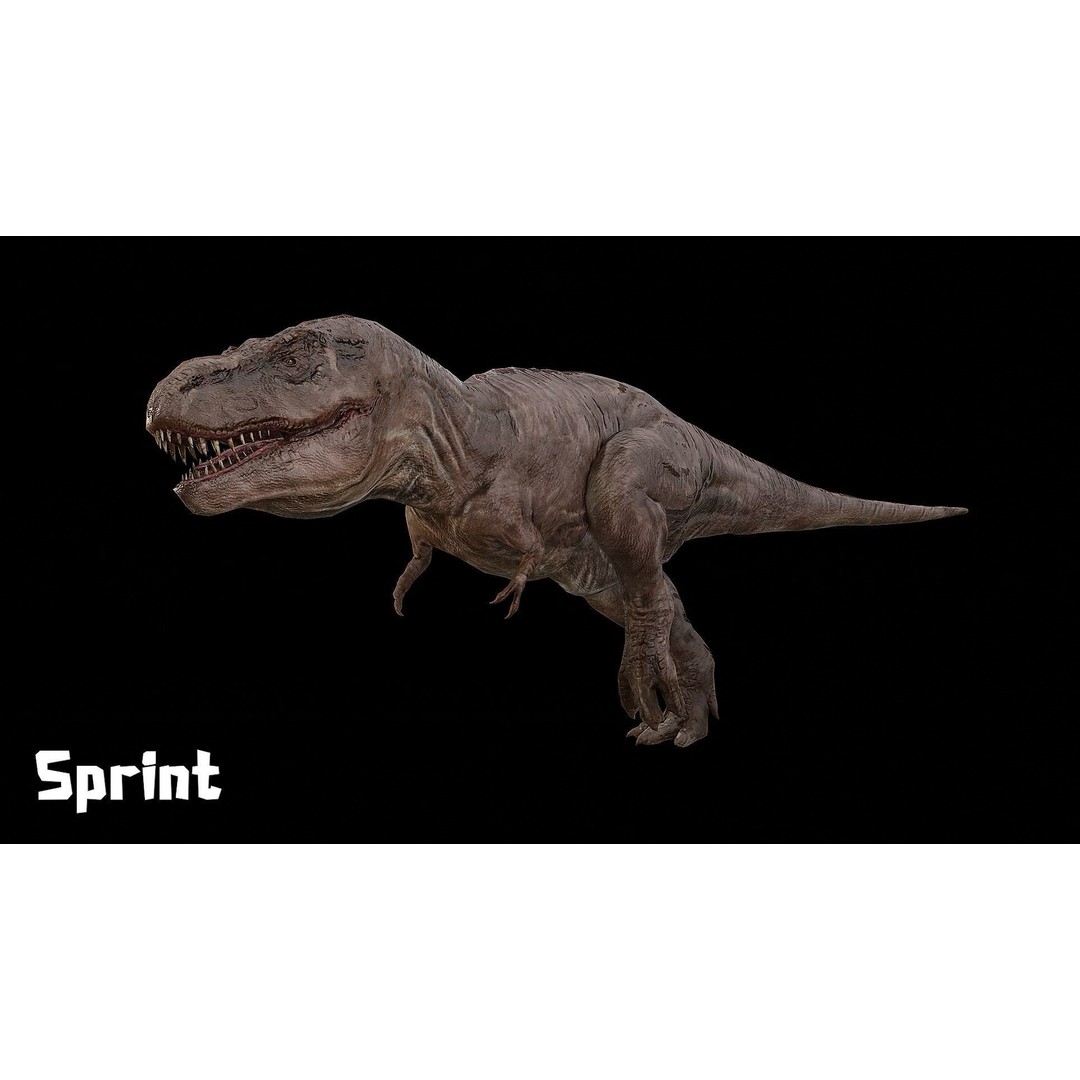 Tyrannosaurus Rex 3D Model – Low Poly Rigged Dinosaur, FBX & OBJ - View 15