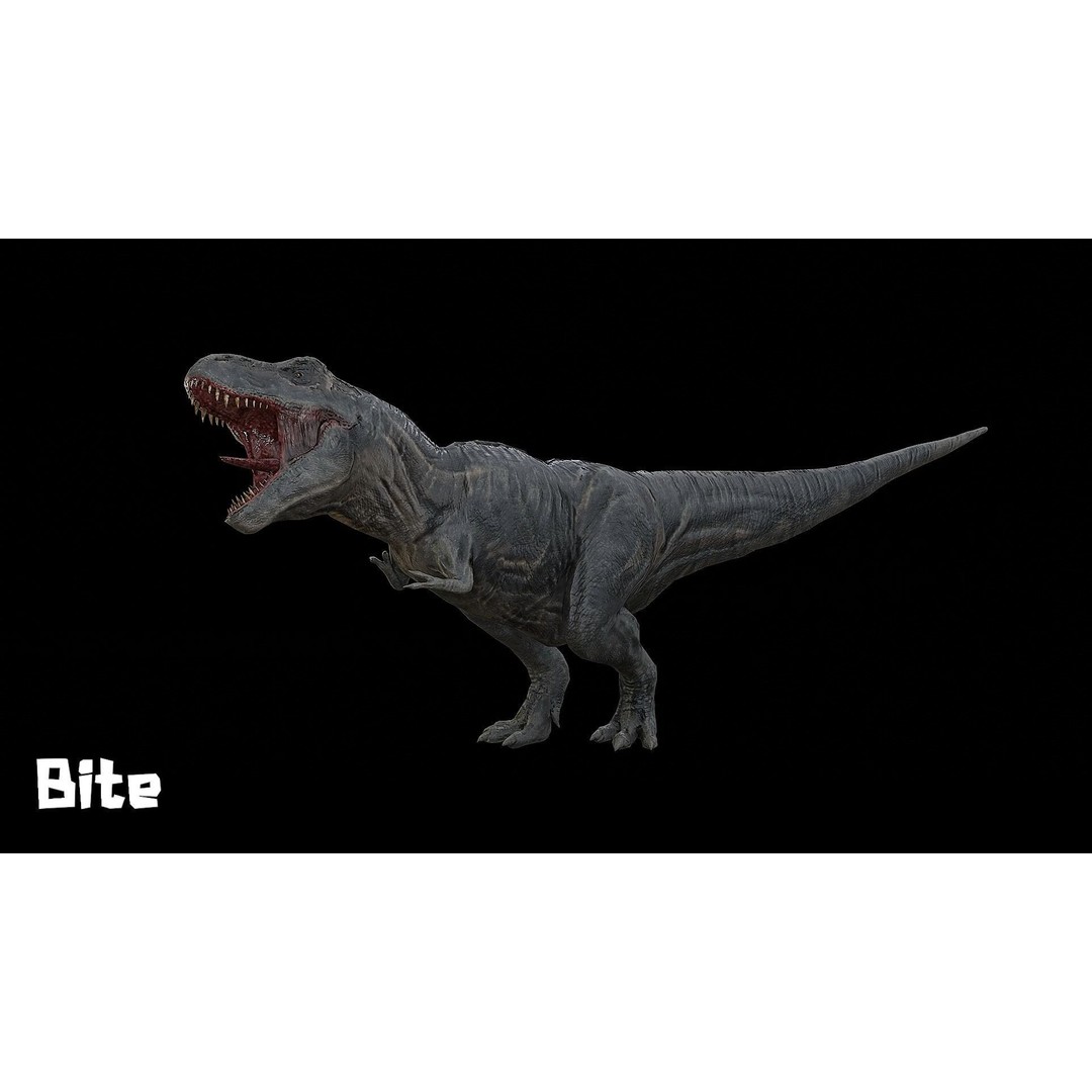 Tyrannosaurus Rex 3D Model – Low Poly Rigged Dinosaur, FBX & OBJ - View 16