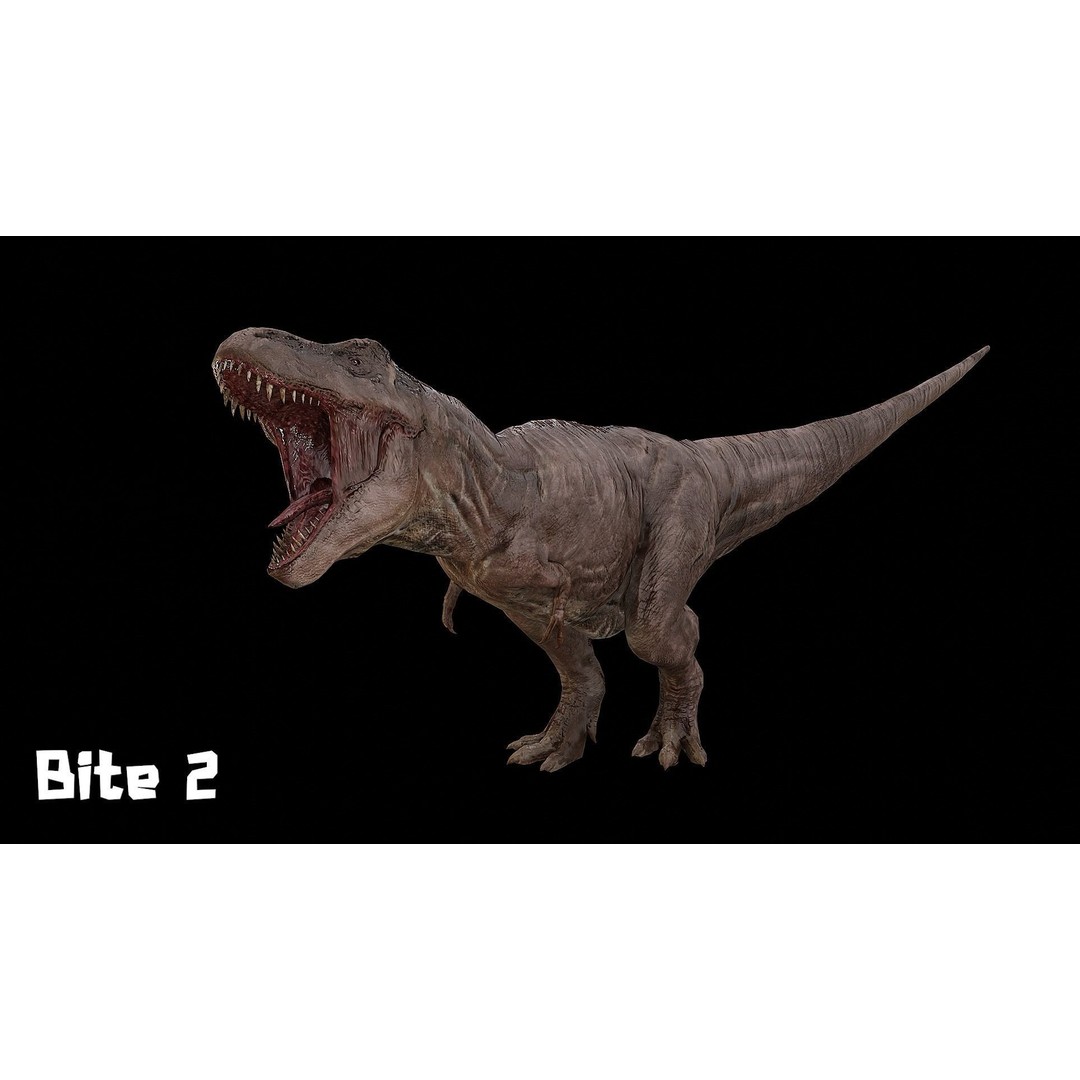 Tyrannosaurus Rex 3D Model – Low Poly Rigged Dinosaur, FBX & OBJ - View 17