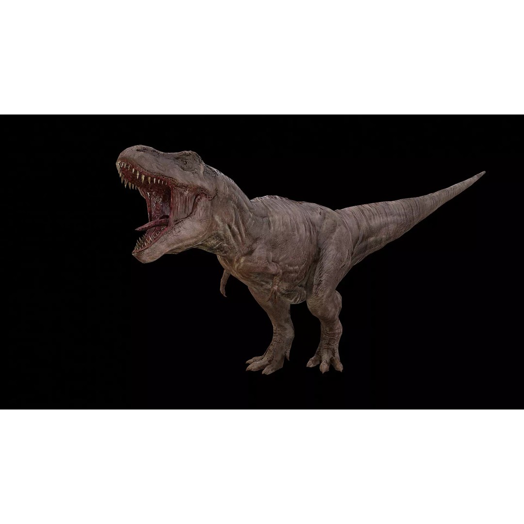 Tyrannosaurus Rex 3D Model – Low Poly Rigged Dinosaur, FBX & OBJ - View 2