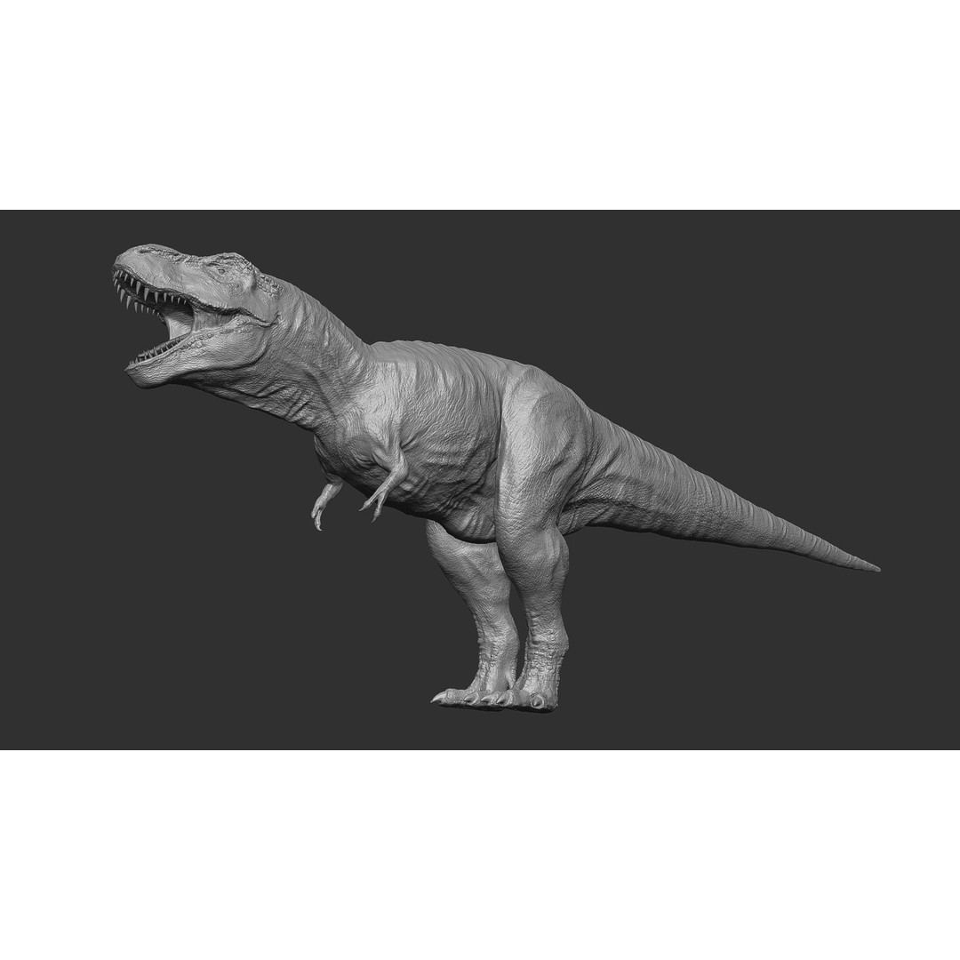 Tyrannosaurus Rex 3D Model – Low Poly Rigged Dinosaur, FBX & OBJ - View 22