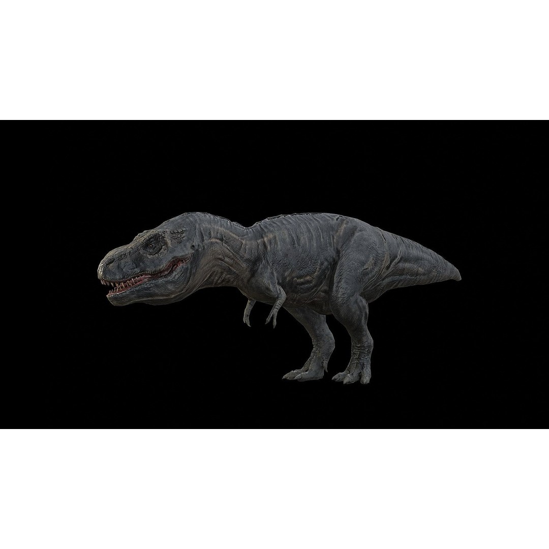 Tyrannosaurus Rex 3D Model – Low Poly Rigged Dinosaur, FBX & OBJ - View 26