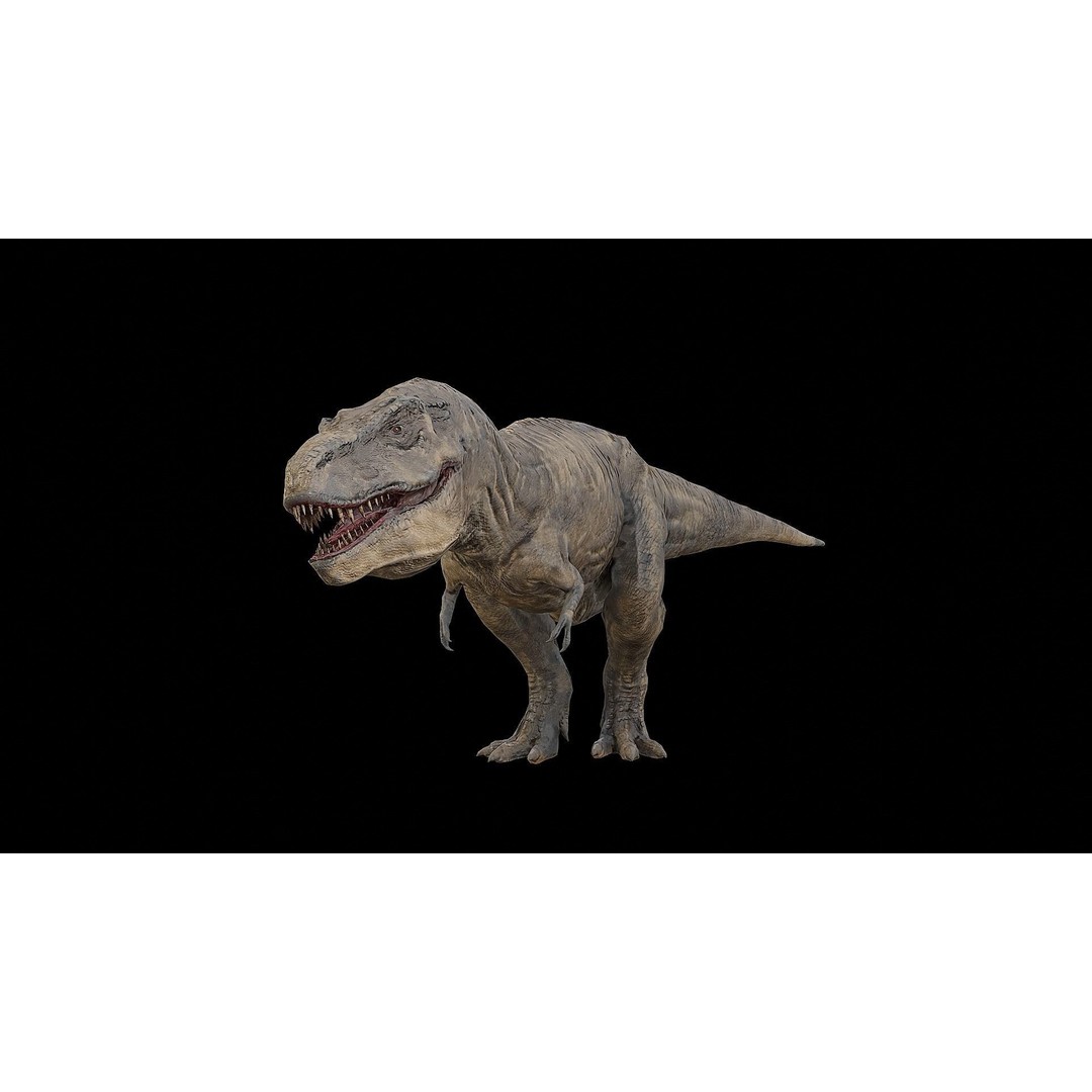 Tyrannosaurus Rex 3D Model – Low Poly Rigged Dinosaur, FBX & OBJ - View 27