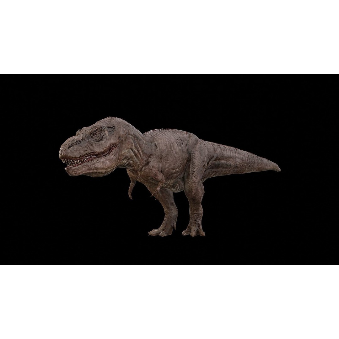 Tyrannosaurus Rex 3D Model – Low Poly Rigged Dinosaur, FBX & OBJ - View 28