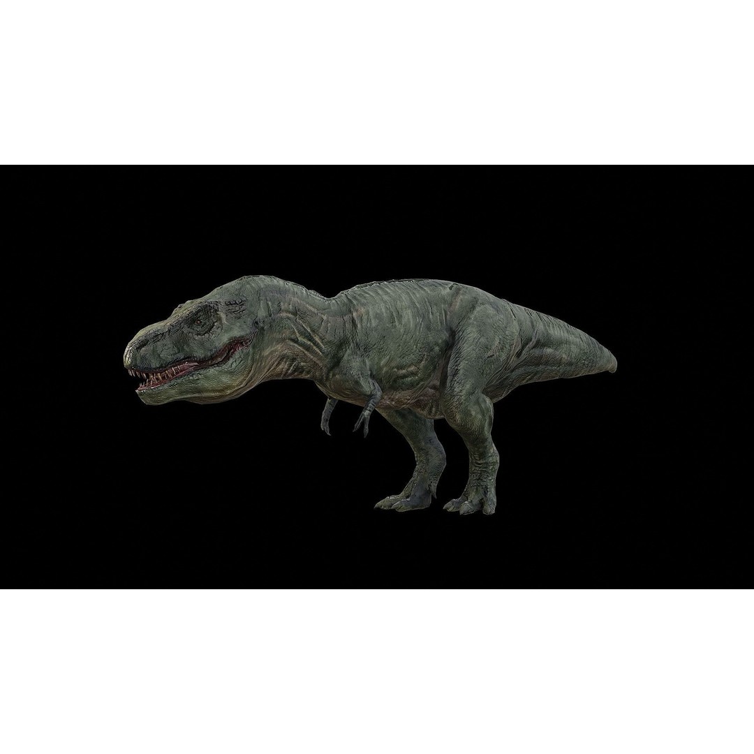 Tyrannosaurus Rex 3D Model – Low Poly Rigged Dinosaur, FBX & OBJ - View 3