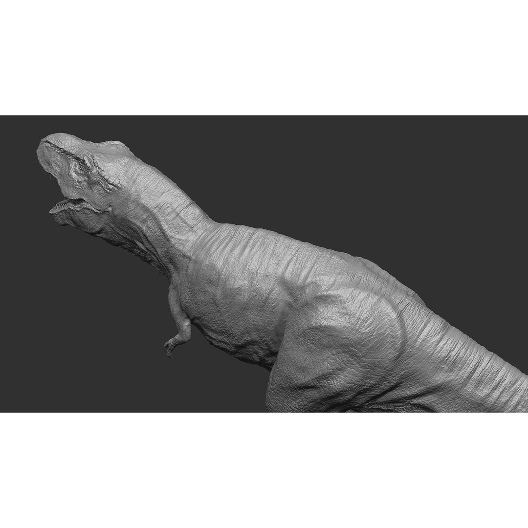 Tyrannosaurus Rex 3D Model – Low Poly Rigged Dinosaur, FBX & OBJ - View 30