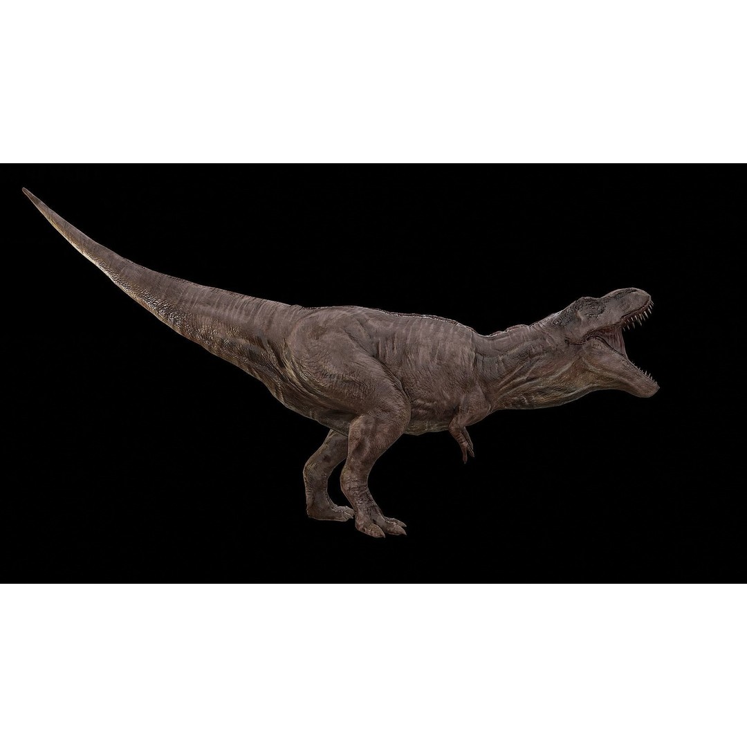 Tyrannosaurus Rex 3D Model – Low Poly Rigged Dinosaur, FBX & OBJ - View 33