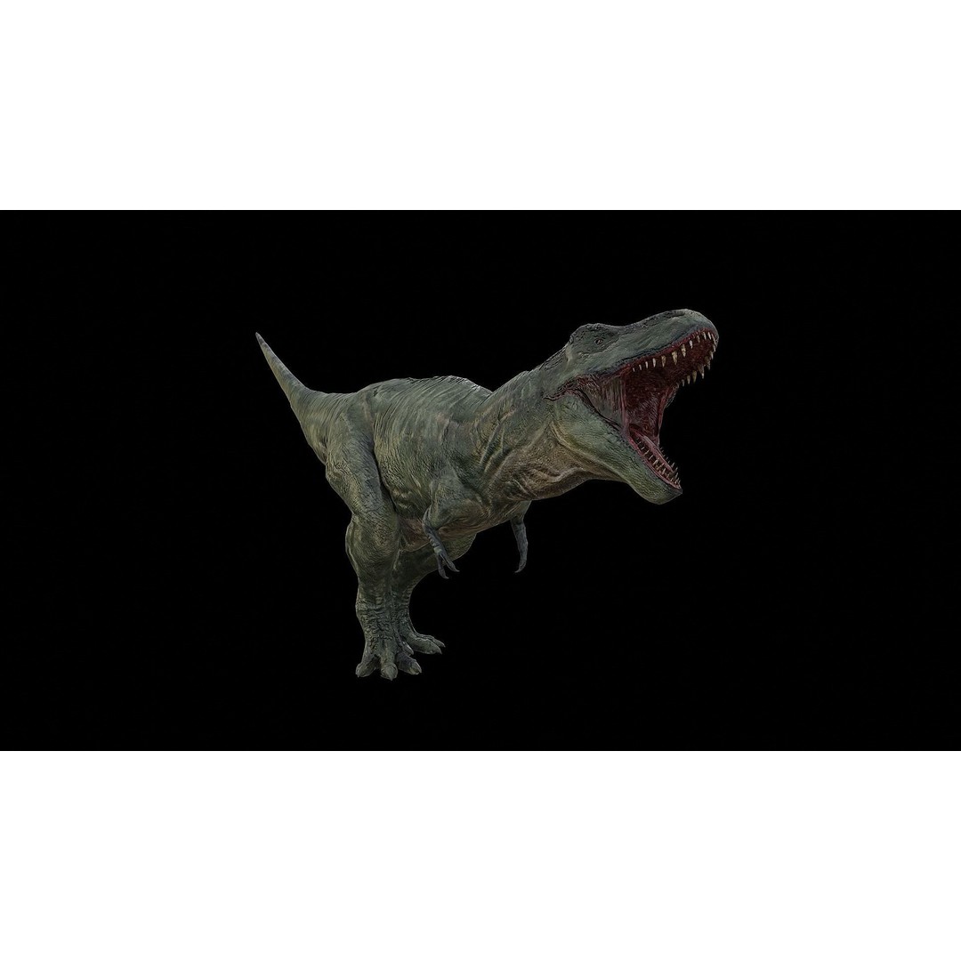 Tyrannosaurus Rex 3D Model – Low Poly Rigged Dinosaur, FBX & OBJ - View 34