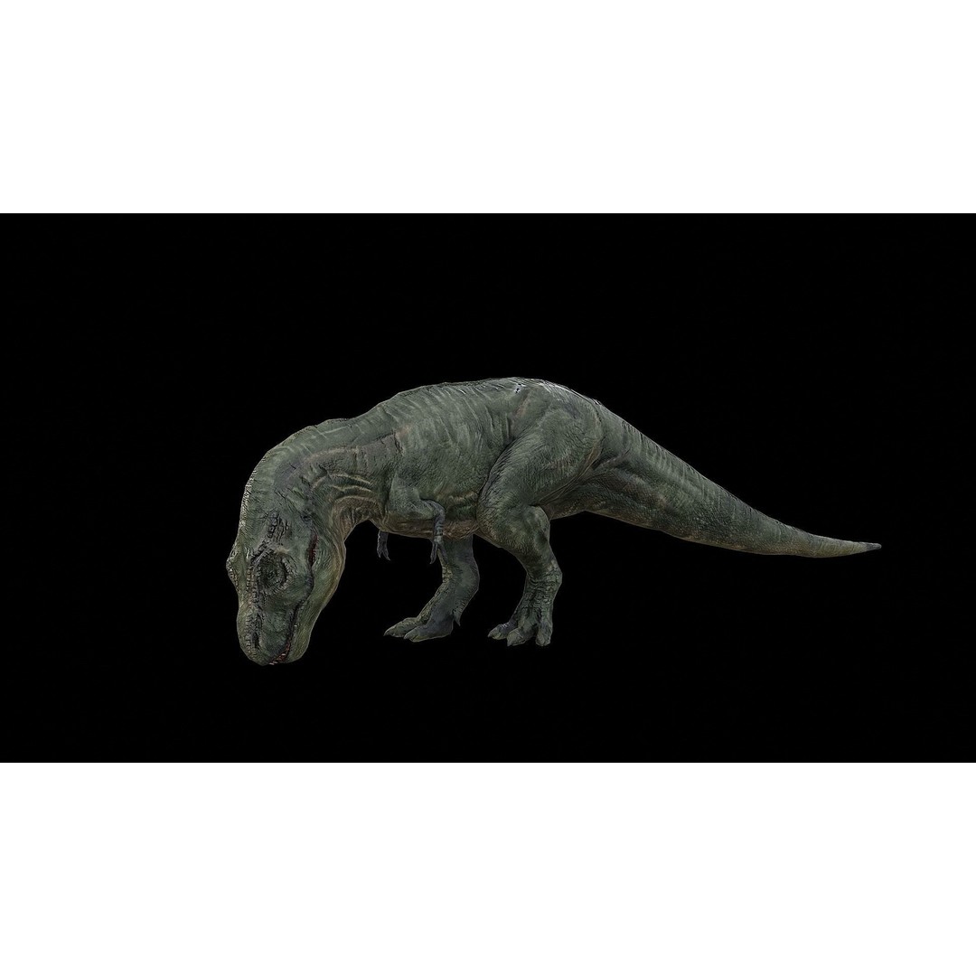 Tyrannosaurus Rex 3D Model – Low Poly Rigged Dinosaur, FBX & OBJ - View 35