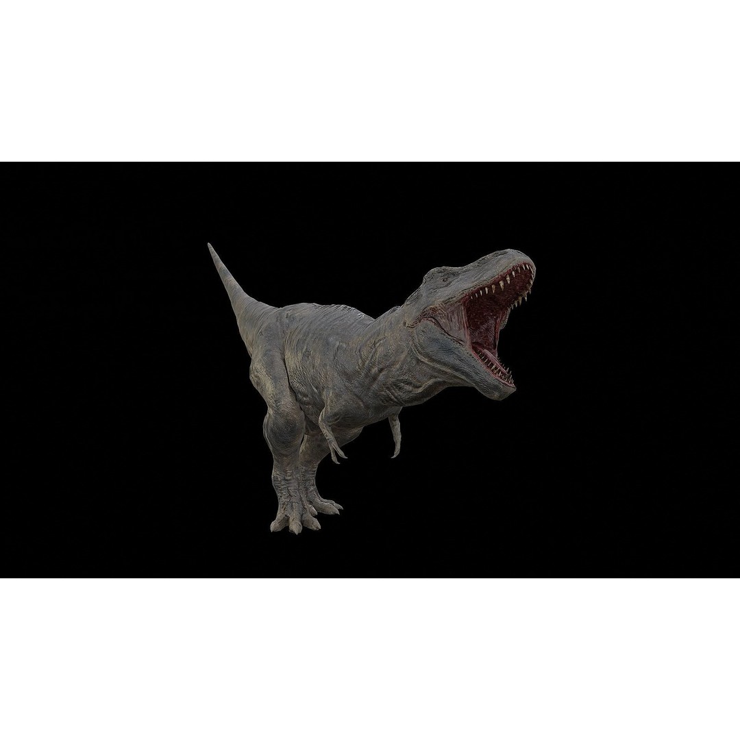 Tyrannosaurus Rex 3D Model – Low Poly Rigged Dinosaur, FBX & OBJ - View 36