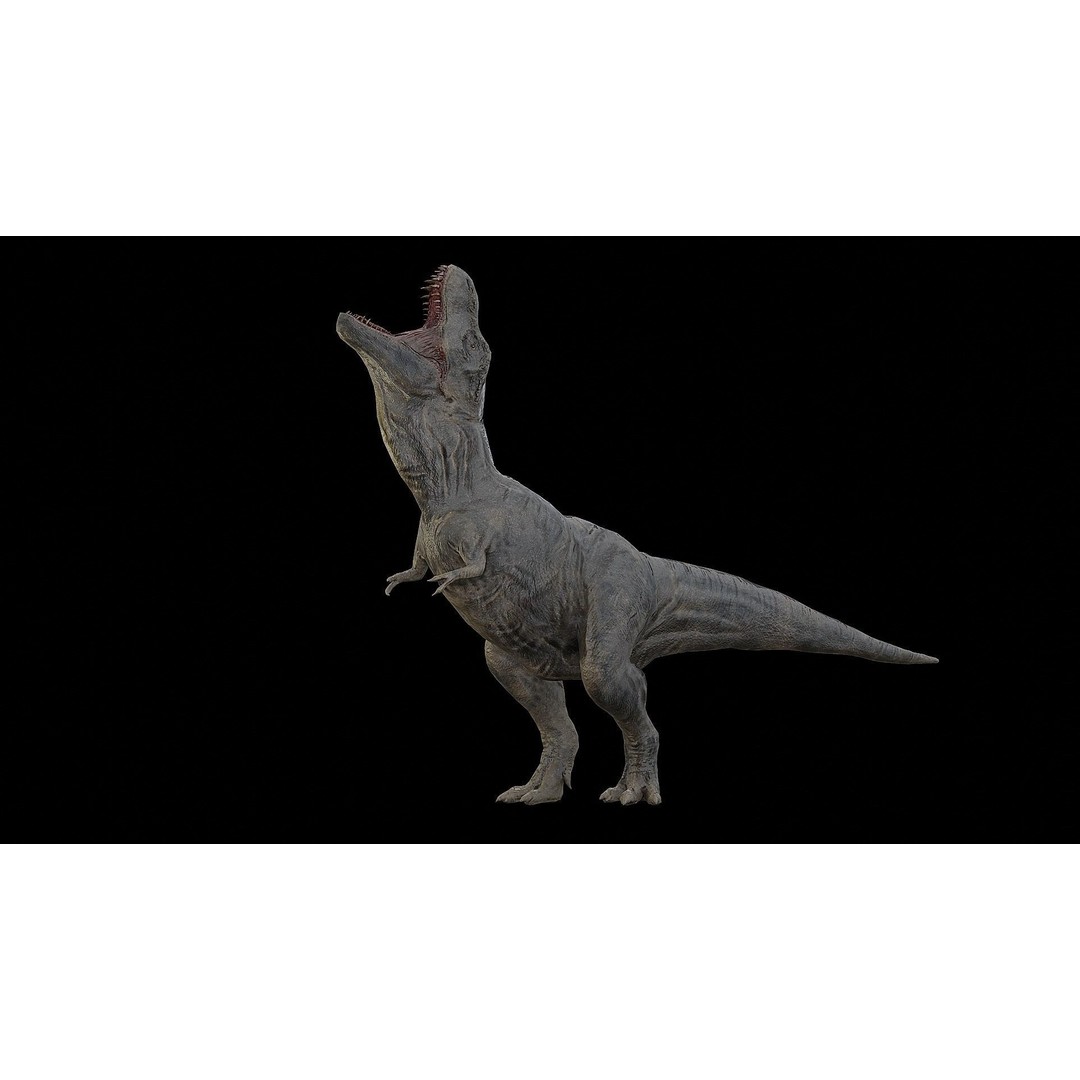Tyrannosaurus Rex 3D Model – Low Poly Rigged Dinosaur, FBX & OBJ - View 37