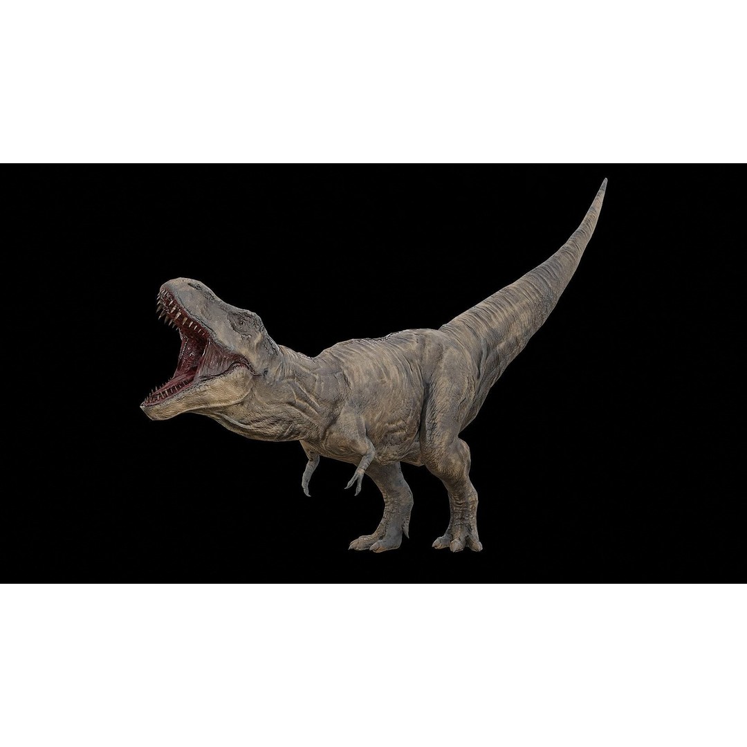 Tyrannosaurus Rex 3D Model – Low Poly Rigged Dinosaur, FBX & OBJ - View 38
