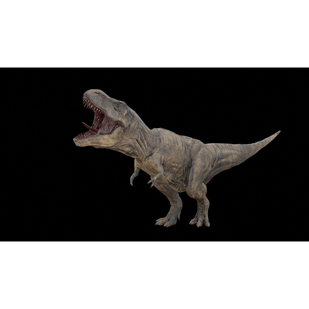 Tyrannosaurus Rex 3D Model – Low Poly Rigged Dinosaur, FBX & OBJ - View 39