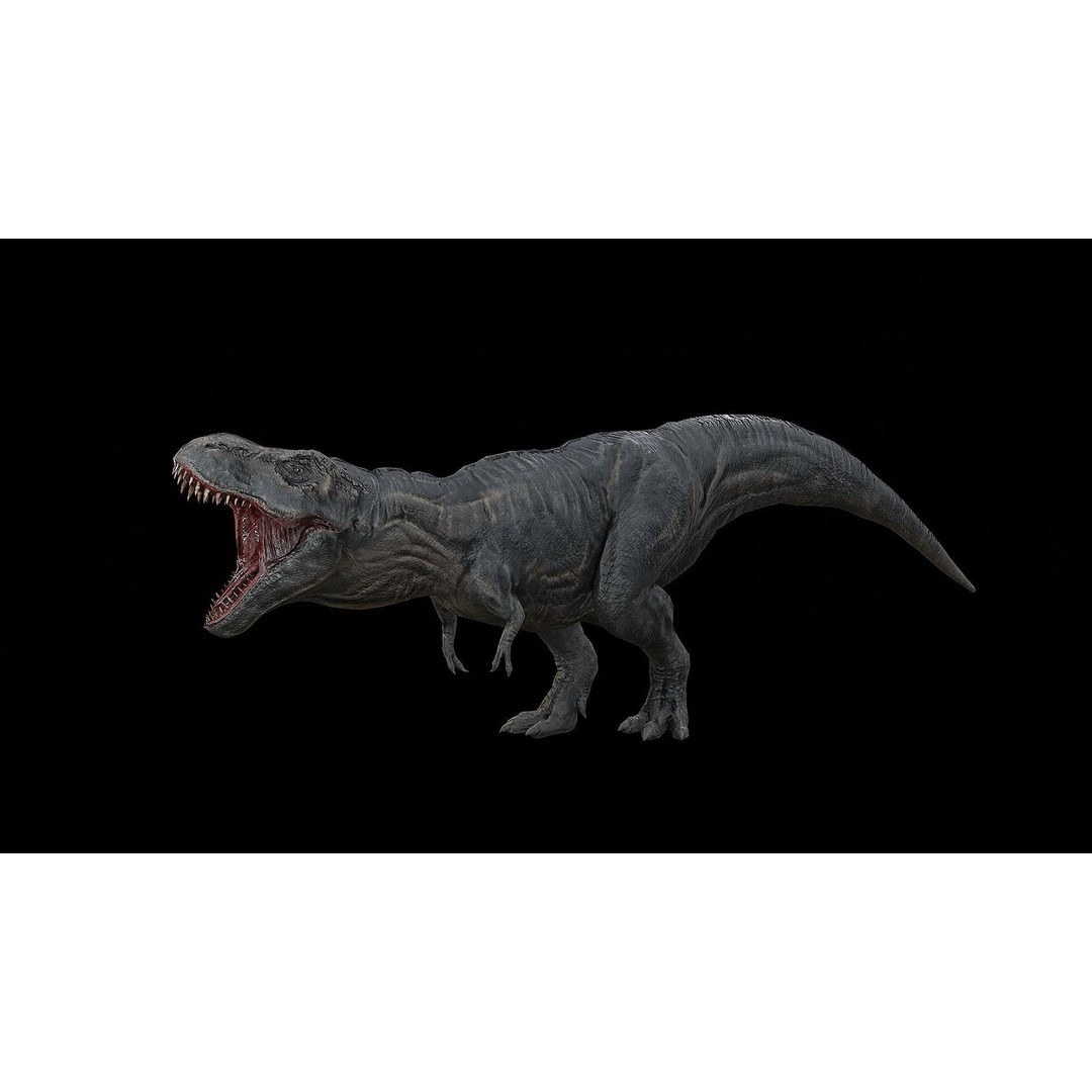 Tyrannosaurus Rex 3D Model – Low Poly Rigged Dinosaur, FBX & OBJ - View 4