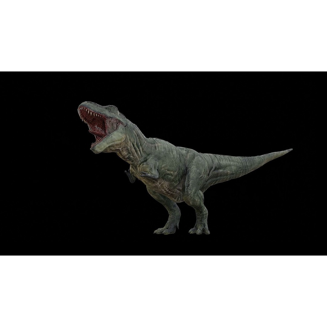 Tyrannosaurus Rex 3D Model – Low Poly Rigged Dinosaur, FBX & OBJ - View 40