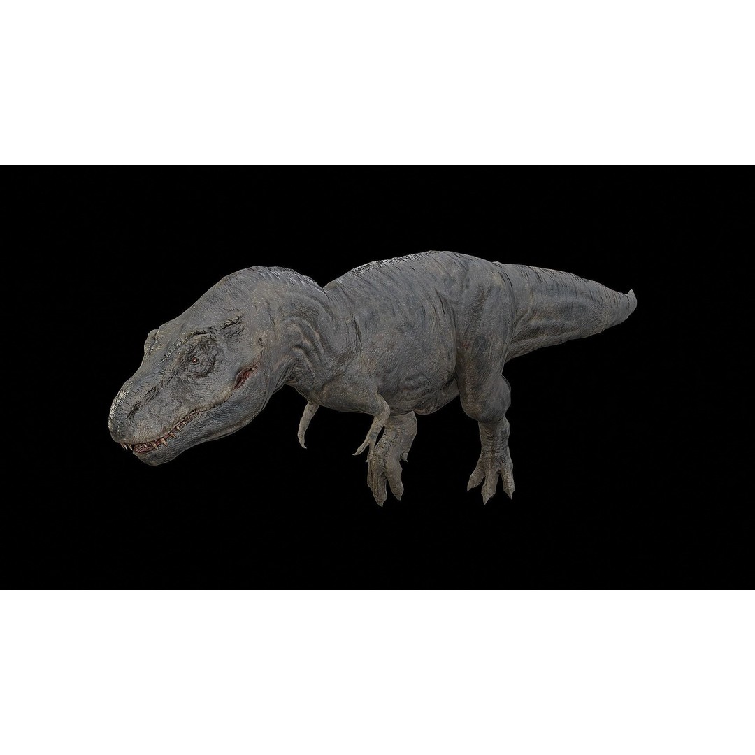 Tyrannosaurus Rex 3D Model – Low Poly Rigged Dinosaur, FBX & OBJ - View 41