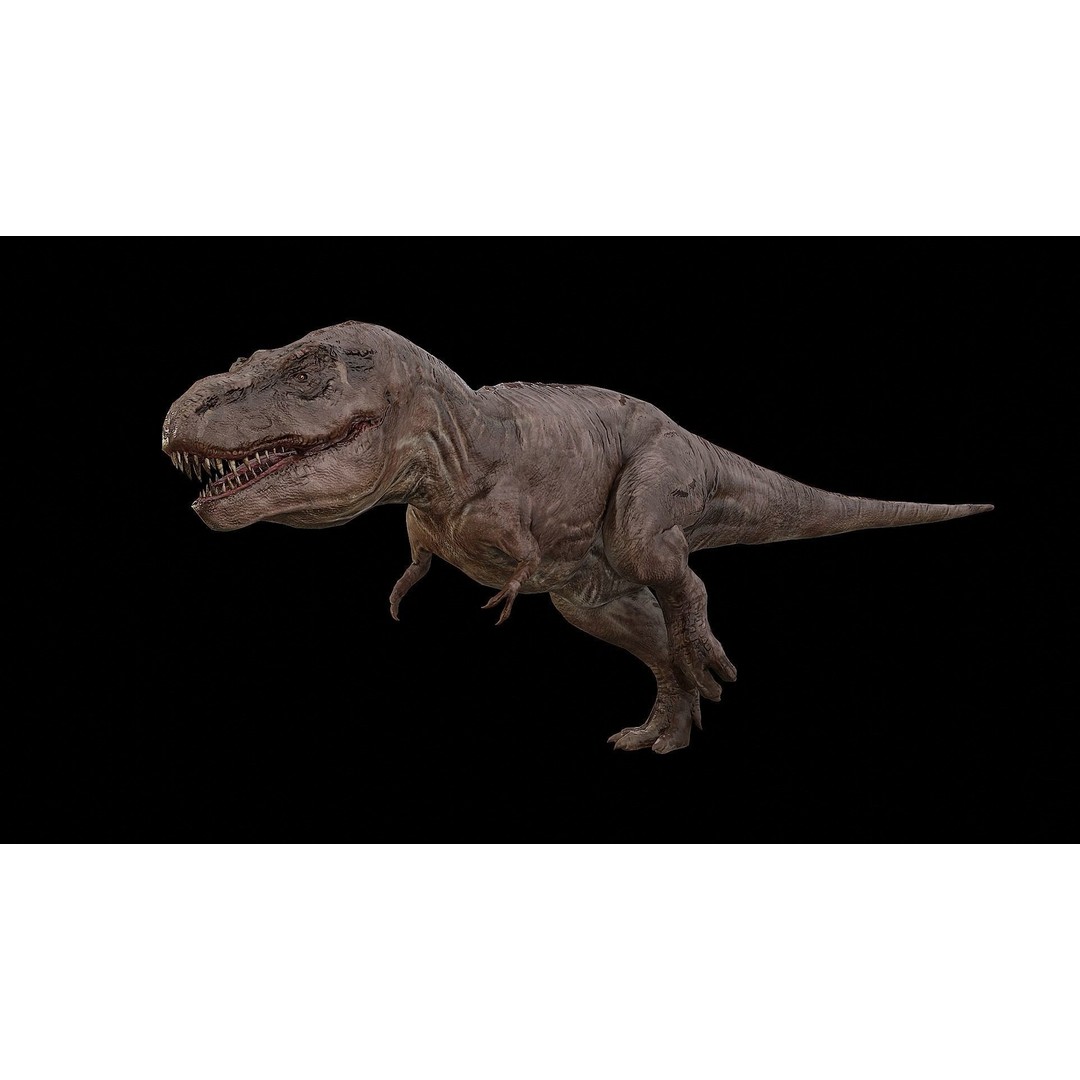 Tyrannosaurus Rex 3D Model – Low Poly Rigged Dinosaur, FBX & OBJ - View 42