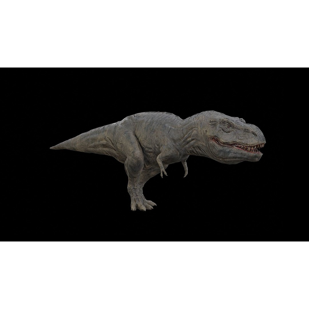 Tyrannosaurus Rex 3D Model – Low Poly Rigged Dinosaur, FBX & OBJ - View 5