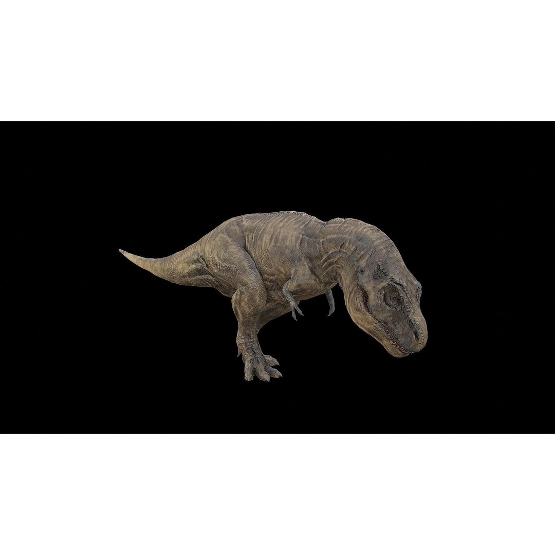 Tyrannosaurus Rex 3D Model – Low Poly Rigged Dinosaur, FBX & OBJ - View 6