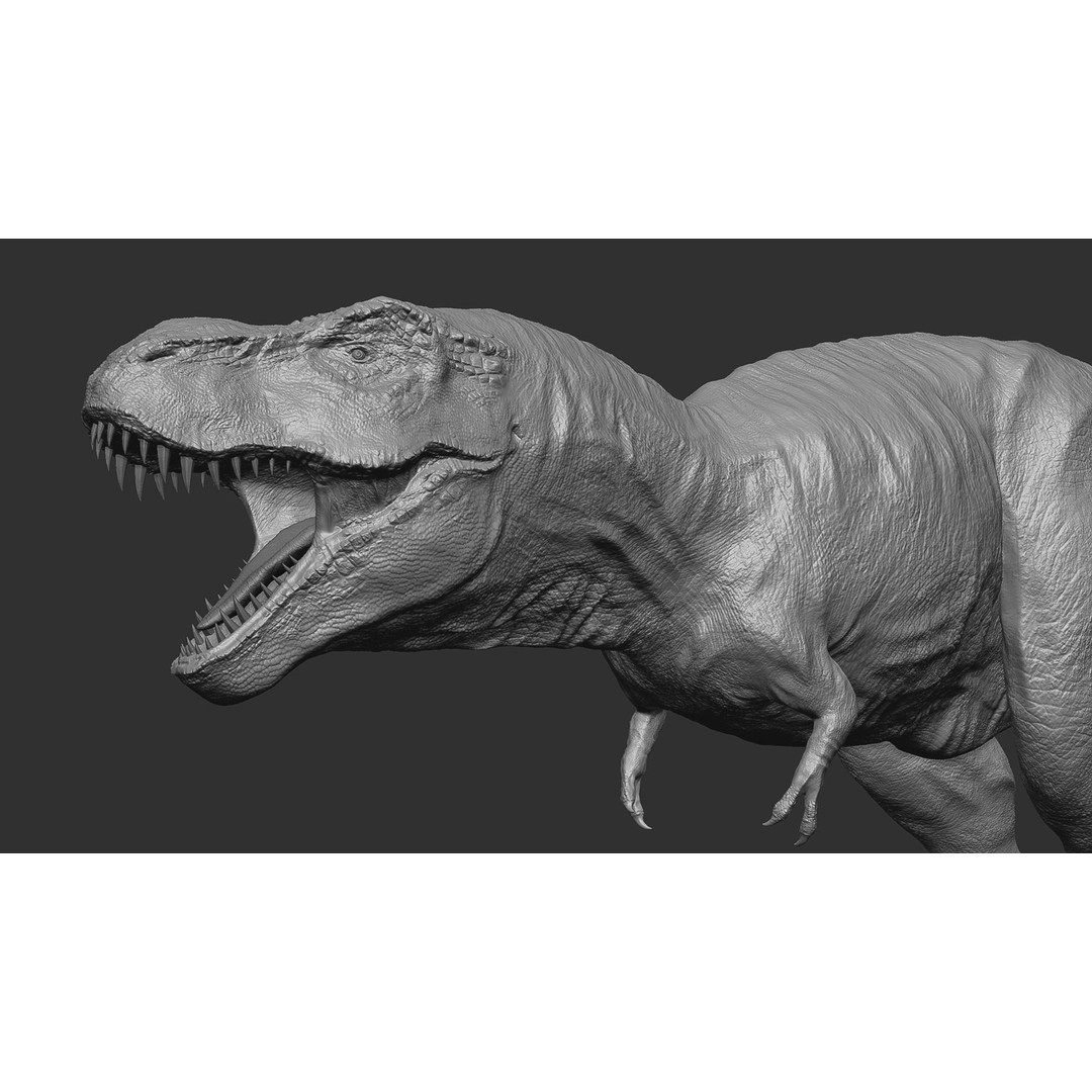Tyrannosaurus Rex 3D Model – Low Poly Rigged Dinosaur, FBX & OBJ - View 8