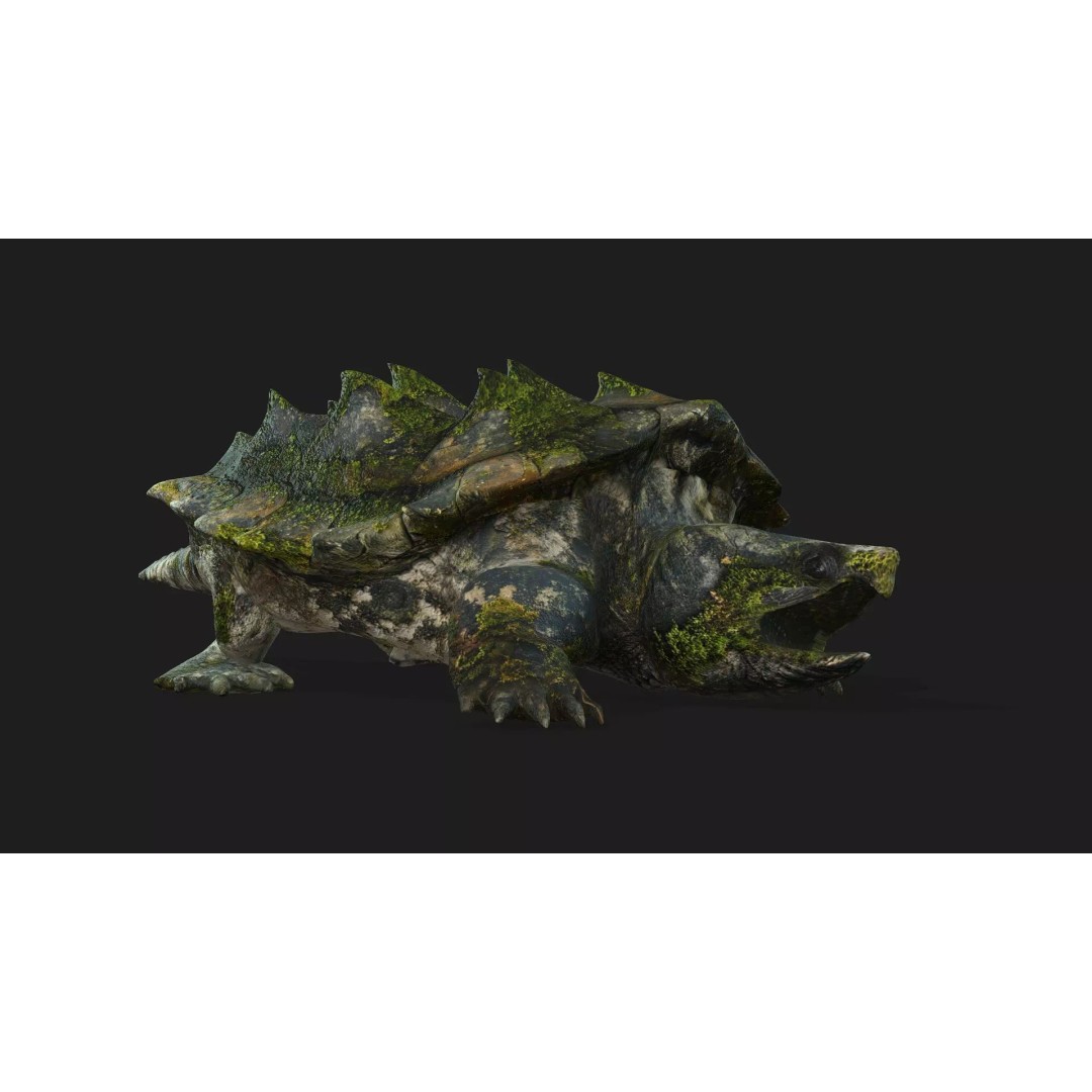 Alligator Turtle 3D Model – Rigged PBR Asset for Animation, FBX - View 11