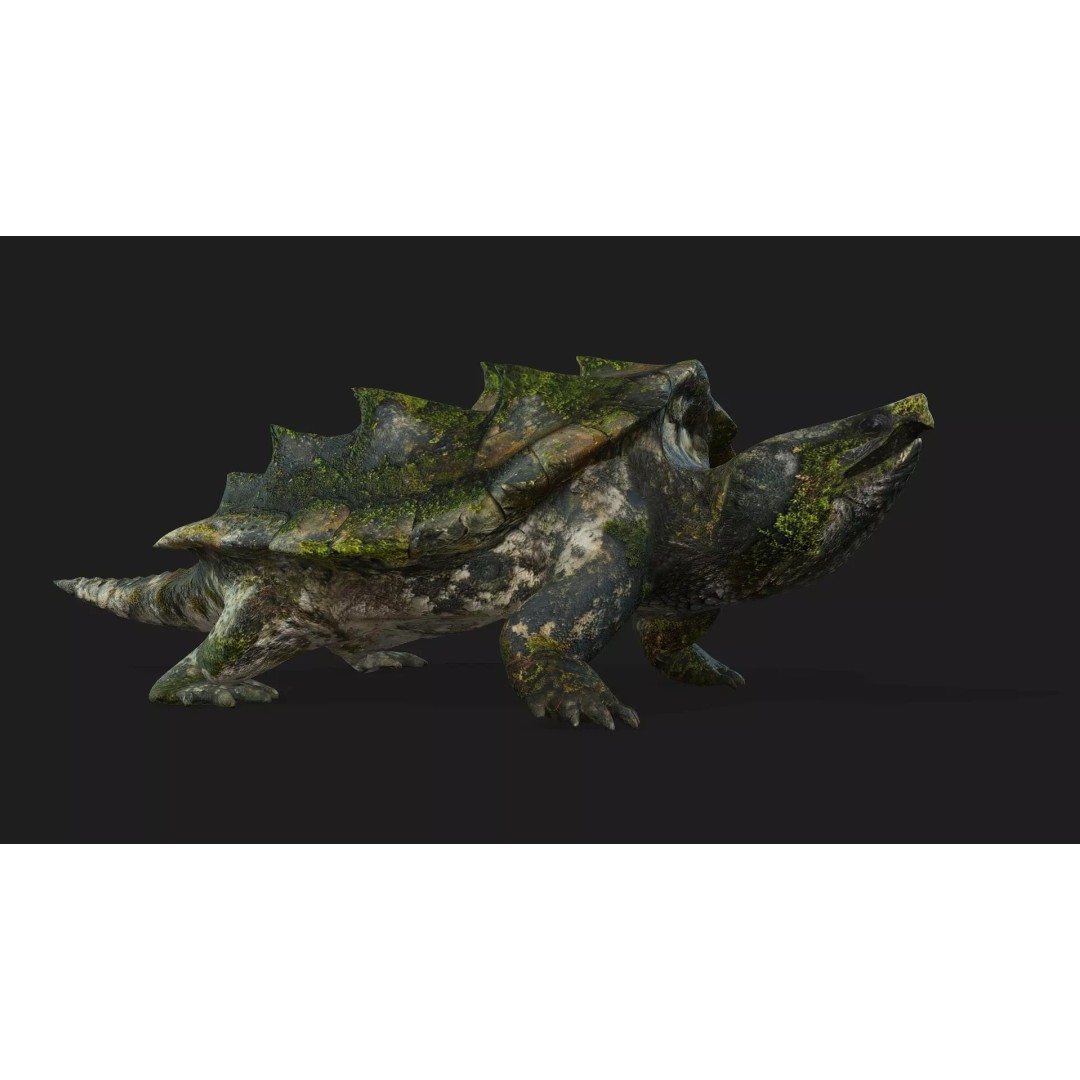 Alligator Turtle 3D Model – Rigged PBR Asset for Animation, FBX - View 12