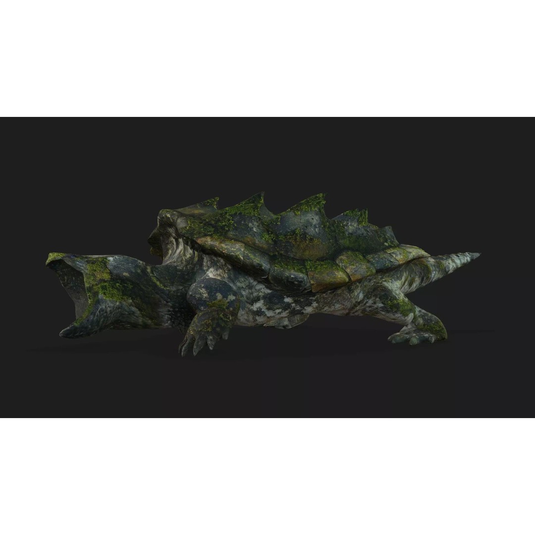 Alligator Turtle 3D Model – Rigged PBR Asset for Animation, FBX - View 13